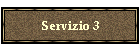 Servizio 3